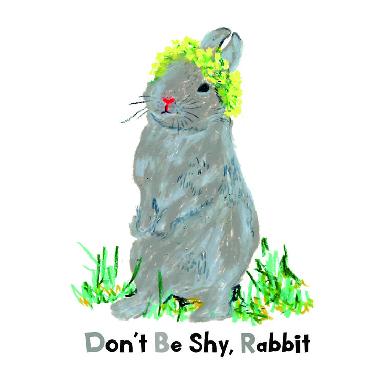 Don't Be Shy Rabbit